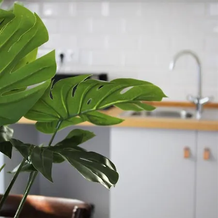 Apartament Tikliving