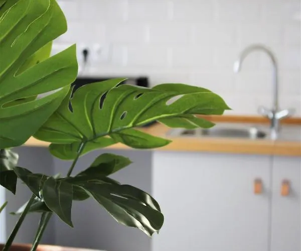 Appartamento Tikliving